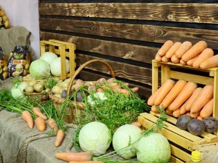 с профессиональным праздником_1210