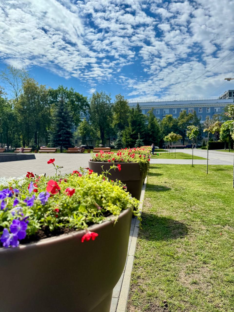 Цветы высадили в центральном сквере города Ступино