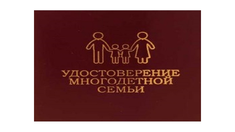 Удостоверение многодетной семьи в Подмосковье станет электронным