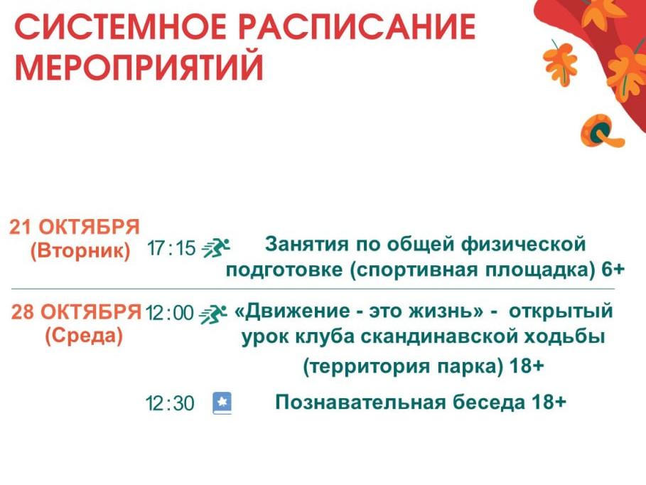 В парках муниципалитета на этой неделе вас ждут творческие и спортивные мастер-классы20102025