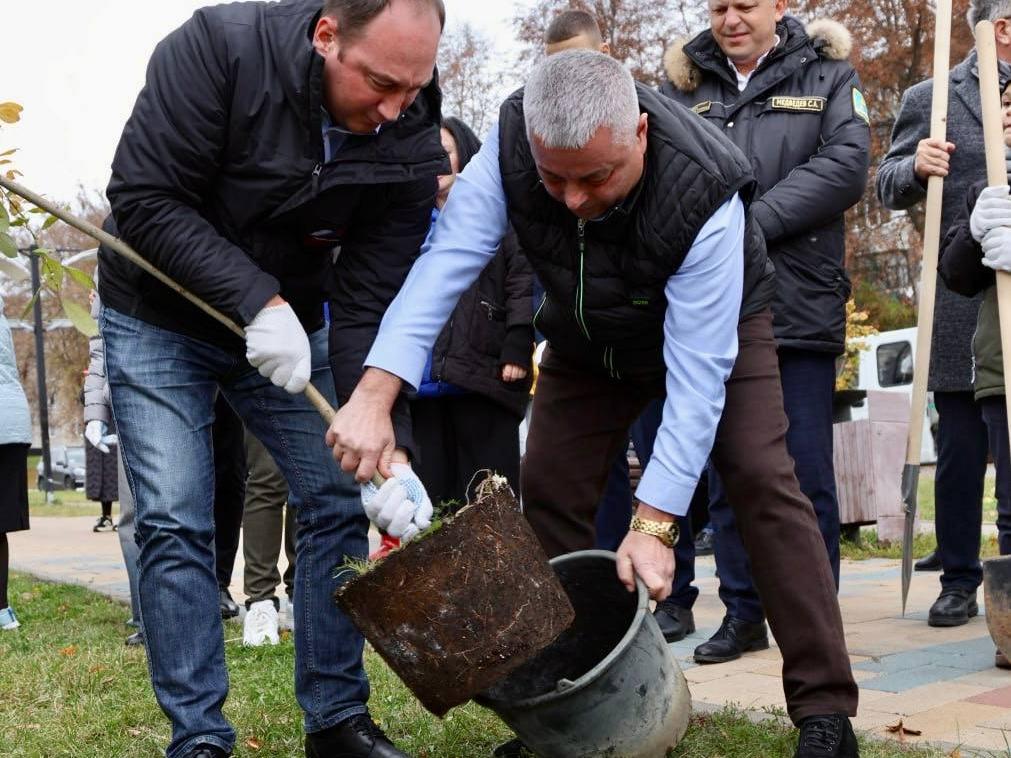 В Ступино в преддверии Дня отца высадили деревья4