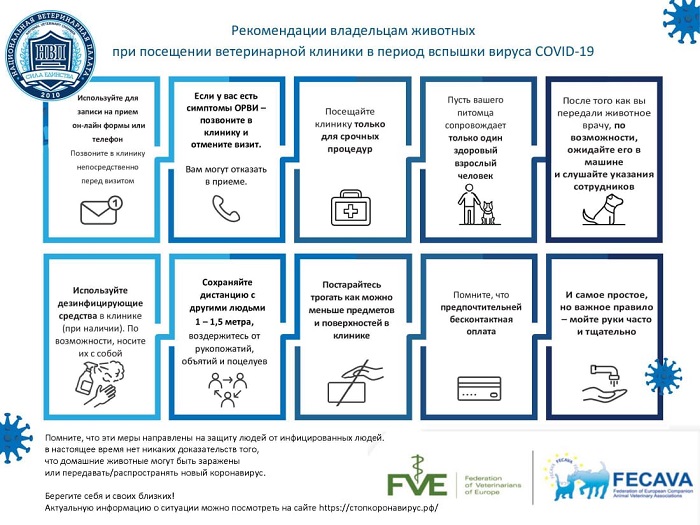 Ветеринарная станция по г.о. Ступино и Кашира  напоминает Вам