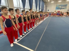 Спортивная школа Ока-гимнастика1