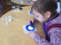 Лужниковский детский сад  «Вишенка» Лужниковский детский сад  «Вишенка»